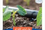 نوار آبیاری قطره‌ای: راهکار نوین برای کشاورزی با مصرف بهینه آب