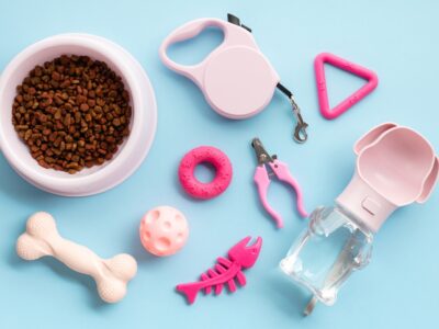 راهنمای جامع وسایل ضروری سگ: از تغذیه تا سرگرمی و سلامت