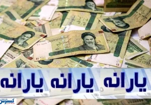 حذف پژو و پراید سواران از فهرست یارانه‌بگیران؛ مجلس حکم کرده است