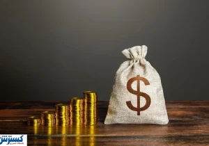 دستور ویژه ساتا برای اصلاح حقوق نیروهای متخصص بازنشسته