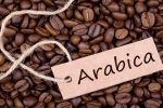 قهوه عربیکا؛ تجربه‌ای متفاوت در هر فنجان