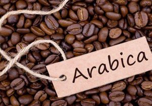 قهوه عربیکا؛ تجربه‌ای متفاوت در هر فنجان
