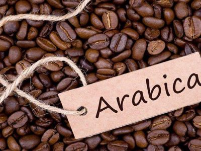 قهوه عربیکا؛ تجربه‌ای متفاوت در هر فنجان