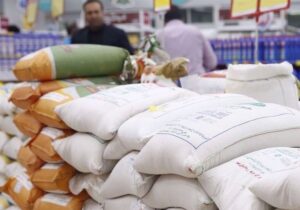 فعال بازار برنج: وزارت جهاد با آزمون و خطا بازار را نامتعادل کرد