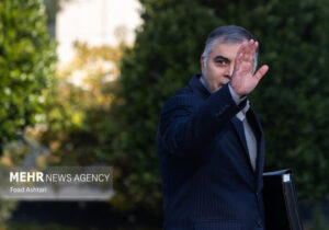 پاک نژاد: «شورای عالی انرژی» تشکیل می‌شود
