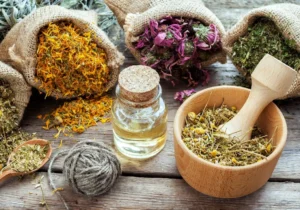 گیاهان دارویی پرکاربرد در طب سنتی و خواص آنها