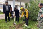 ۱۲ اصله نهال به یاد شهیدان خبرنگار در آستارا غرس شد