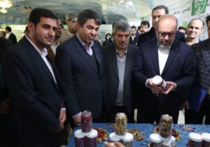 بازدید رئیس بنیاد مستضعفان ازدستاوردهای کارآفرینان بنیاد علوی در کرمان