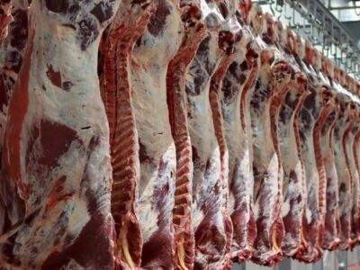 تنظیم بازار گوشت زیر ذره‌بین دستگاه‌های نظارتی