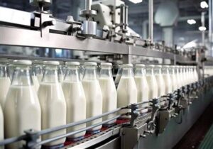 جهان در سال ۲۰۲۴ حدود ۳۴ میلیارد دلار شیر خرید؛ رتبه ۲۳ ایران در تولید