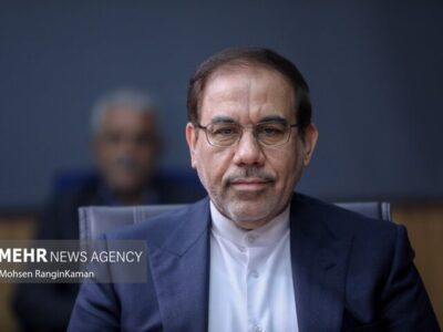 جهانگیر: برنامه‌های پیشگیری از جرم باید مبتنی بر آسیب شناسی باشد