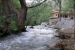جوشش چشمه‌ها در سراب دره شهر در پی بارش باران