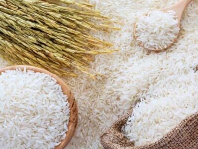 ریزش قیمت برنج نزدیک است؟ | برای خرید برنج فعلا دست نگه دارید
