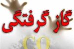 سومین قربانی گازگرفتگی در کهگیلویه و بویراحمد