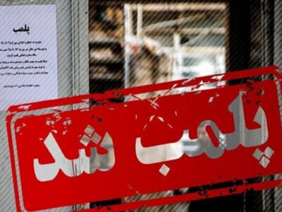 شناسایی و پلمب کشتارگاه‌های غیرمجاز در تبریز؛ تهدید جان بازرسان با بیل