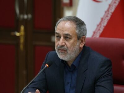 صفی خانی: تشکیل منظم کارگروه‌های فرعی تنظیم بازار ضروری است