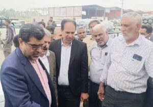 محسنی: کیفیت پایین بسته بندی محصولات کشاورزی موجب افت قیمت می‌شود