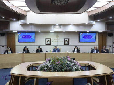 نشست فراکسیون زنان مجلس با وزیر بهداشت؛ سند سلامت بانوان تدوین می‌شود