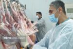 ۲۷ پروژه در حوزه دامپزشکی افتتاح میشود