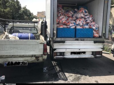 تسریع حمل نهاده‌های دامی از بنادر ضروری است